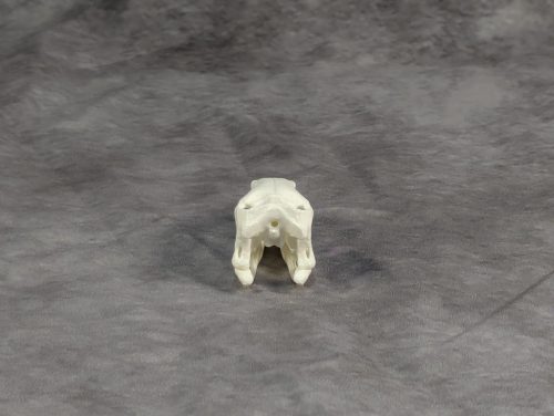 Compsognathus koponya