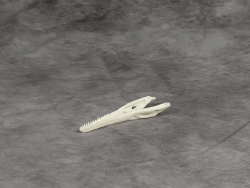 Compsognathus koponya