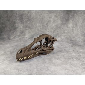 Velociraptor koponya állványhoz