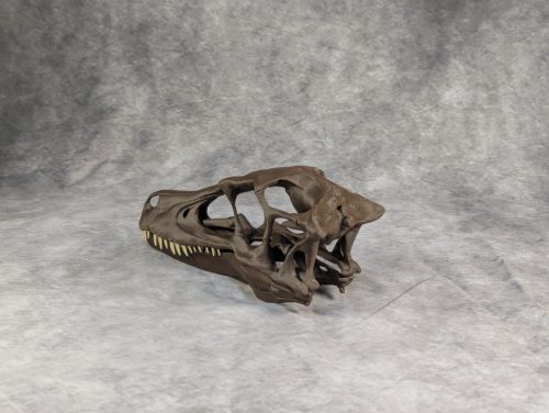 Velociraptor koponya állványhoz