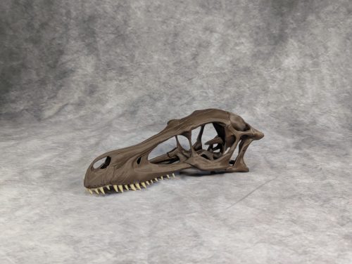 Velociraptor koponya állványhoz