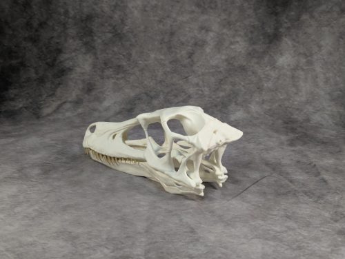 Velociraptor koponya állványhoz