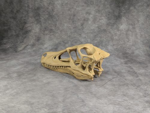 Velociraptor koponya állványhoz