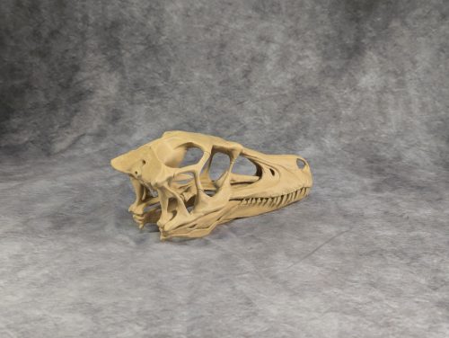Velociraptor koponya állványhoz