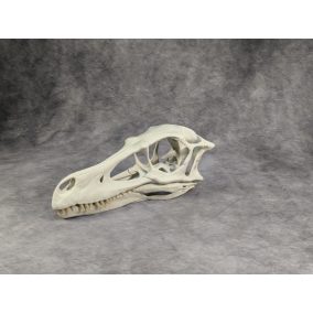 Velociraptor koponya állványhoz