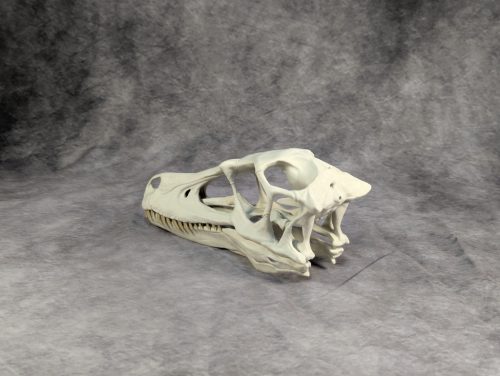 Velociraptor koponya állványhoz